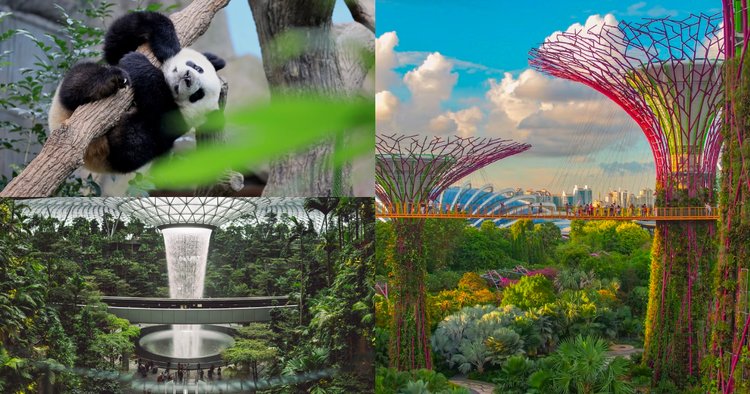 7 Tempat Wisata di Singapura yang Wajib Dikunjungi Sekali Seumur Hidup